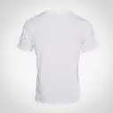 AJ TSH MC 2.webp